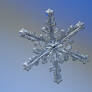 Real snowflake macro photo