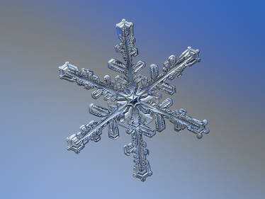 Real snowflake macro photo