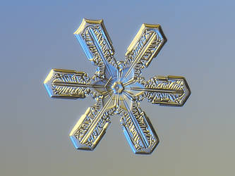 Real snowflake macro photo