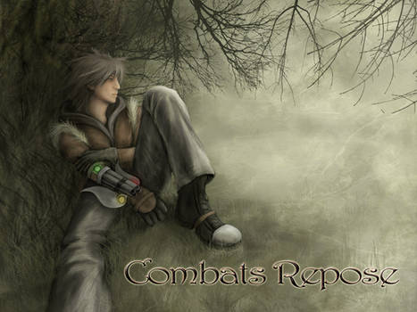 Combats Repose