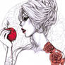 -- rose red2 --