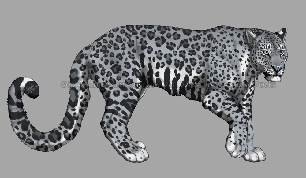 Luna Leopard