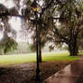 Light Post in Savannah