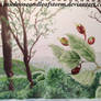 .:The Promise of Apples in the Smokies:.