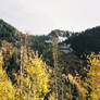 View from Pine Trailhead