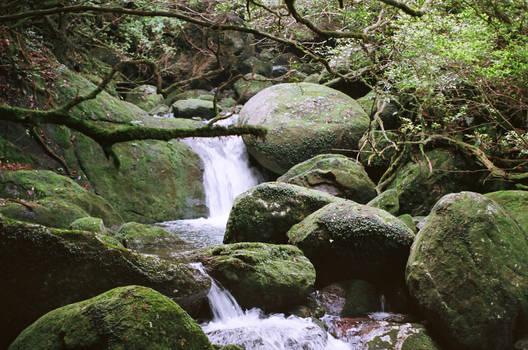 Yakushima Waterfall