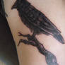 Raven tattoo final
