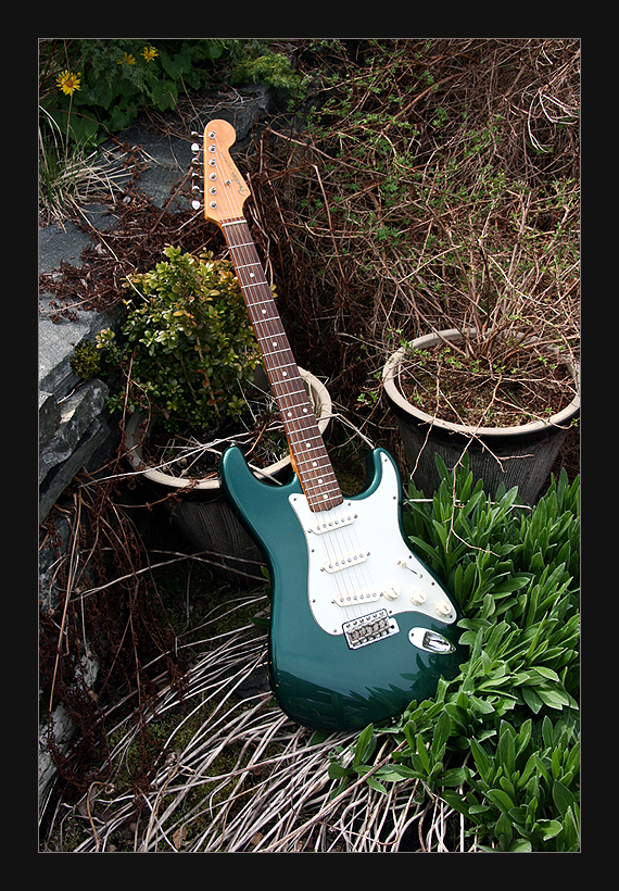 Stratocaster II