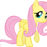 Fluttershy: The Adorable One