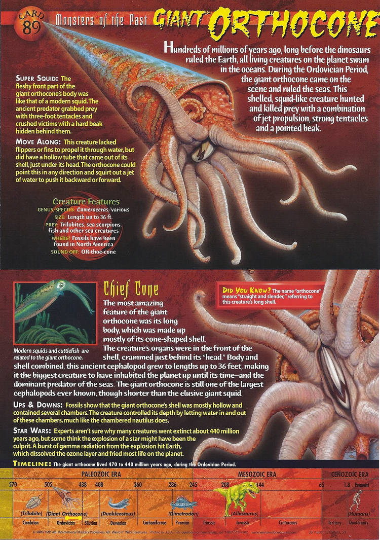 WNWC Giant Orthocone by nickthetrex on DeviantArt