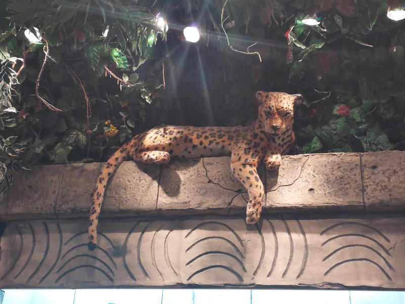 Rainforest Cafe Leopard by nickthetrex on DeviantArt