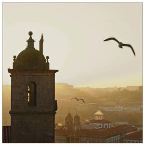 Flying over the Town