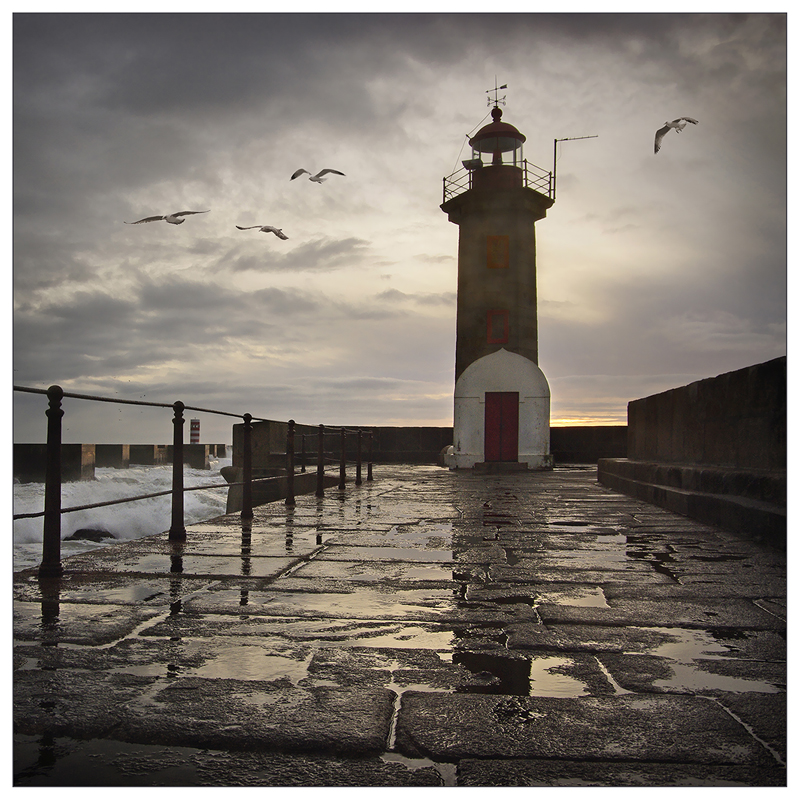 Lighthouse and Seaguls