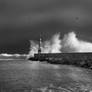 The Waves