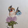 The goldfinch