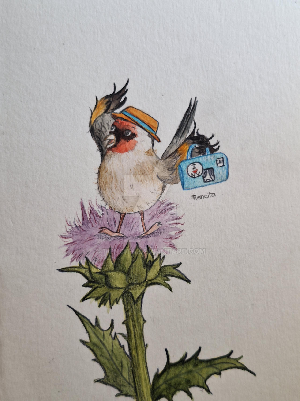 The goldfinch