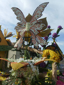 Part of the 2013 Downey rose float 6