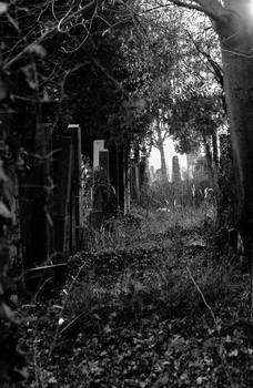 Vienna Central Graveyard I