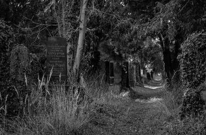 Vienna Central Graveyard II