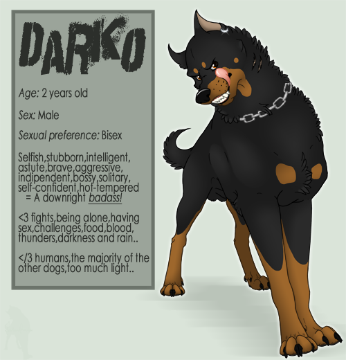 Darko -ID-