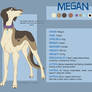 Megan Reference Sheet