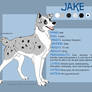 Jake Reference Sheet