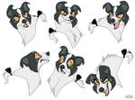 Duncan Expressions Sheet