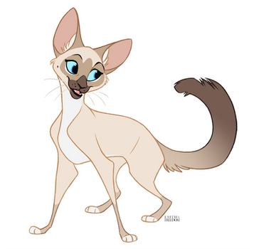 Balinese Cat