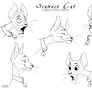 Siamese Expressions