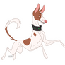 Poochember 2019 Ibizan Hound