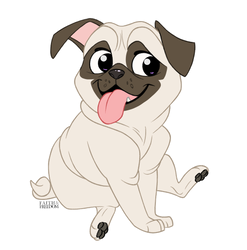 Pug