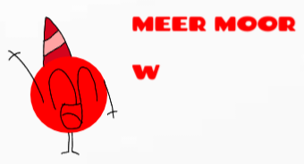 MEER MOOR W