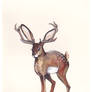 Jackalope