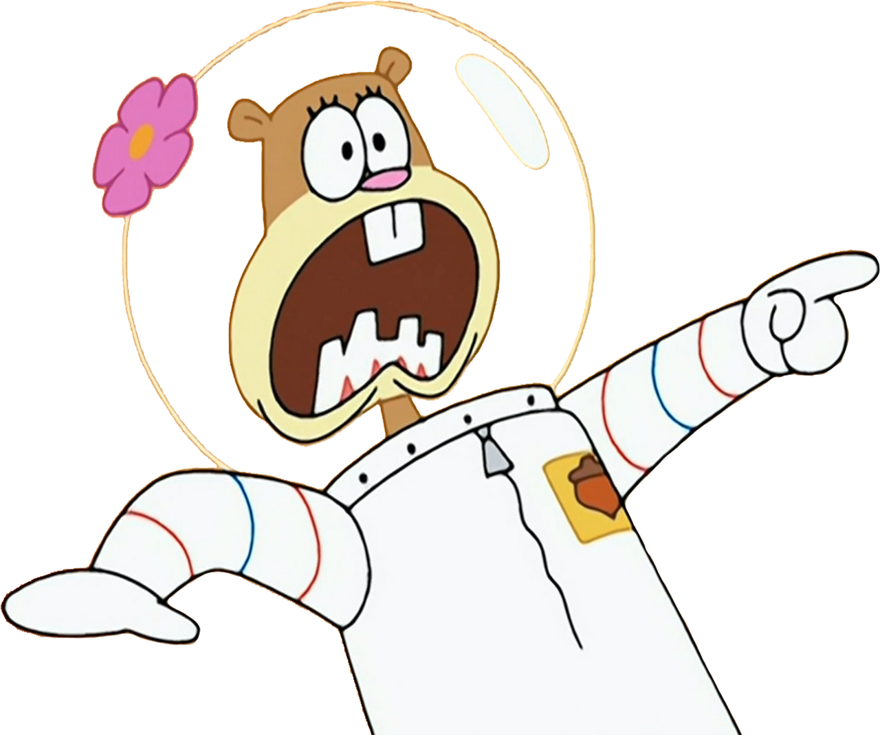 Sandy Cheeks screaming vector by MrToonlover83 on DeviantArt