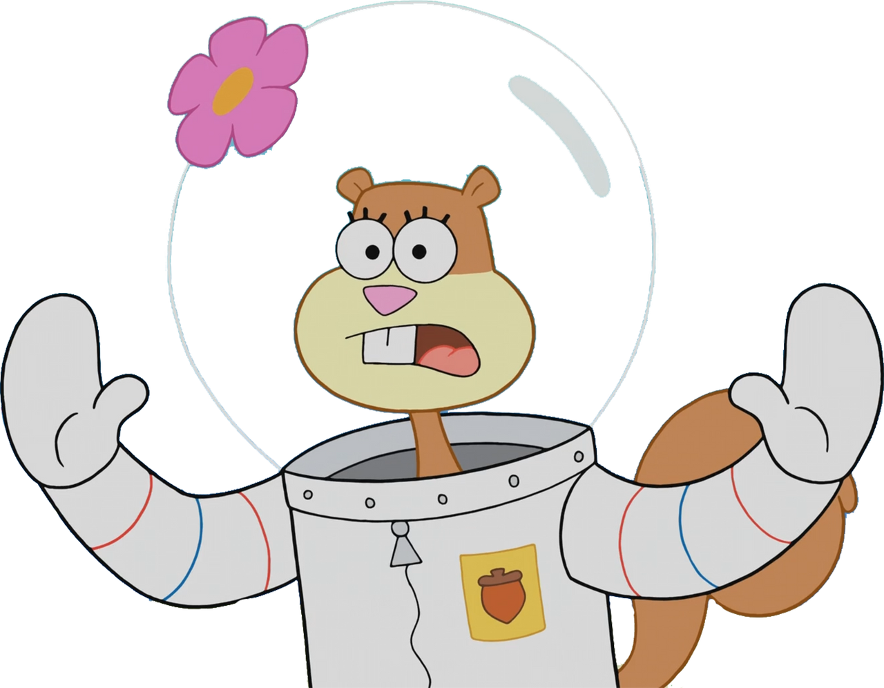 Sandy Cheeks vector 10 by HomerSimpson1983 on DeviantArt