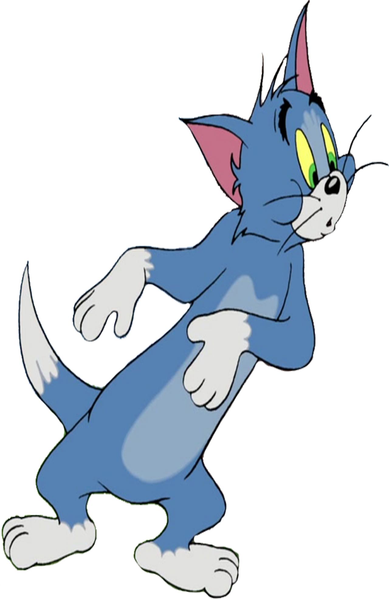 Tom the Cat vector by MrToonlover83 on DeviantArt