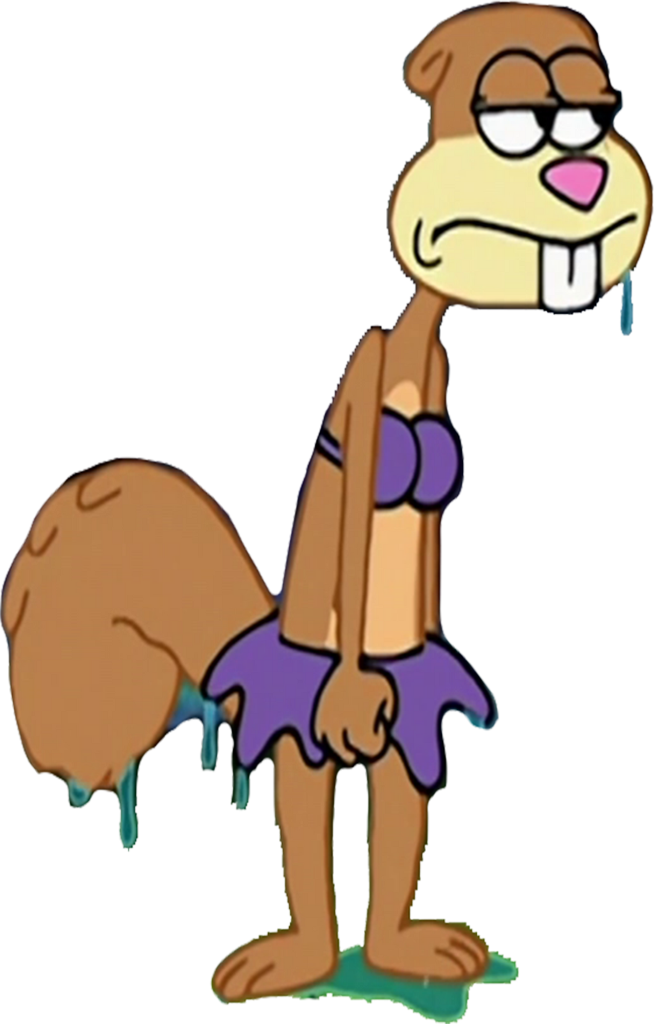 Sandy Vector Sandy Cheeks soaking wet vector by MrToonlover83 on DeviantArt