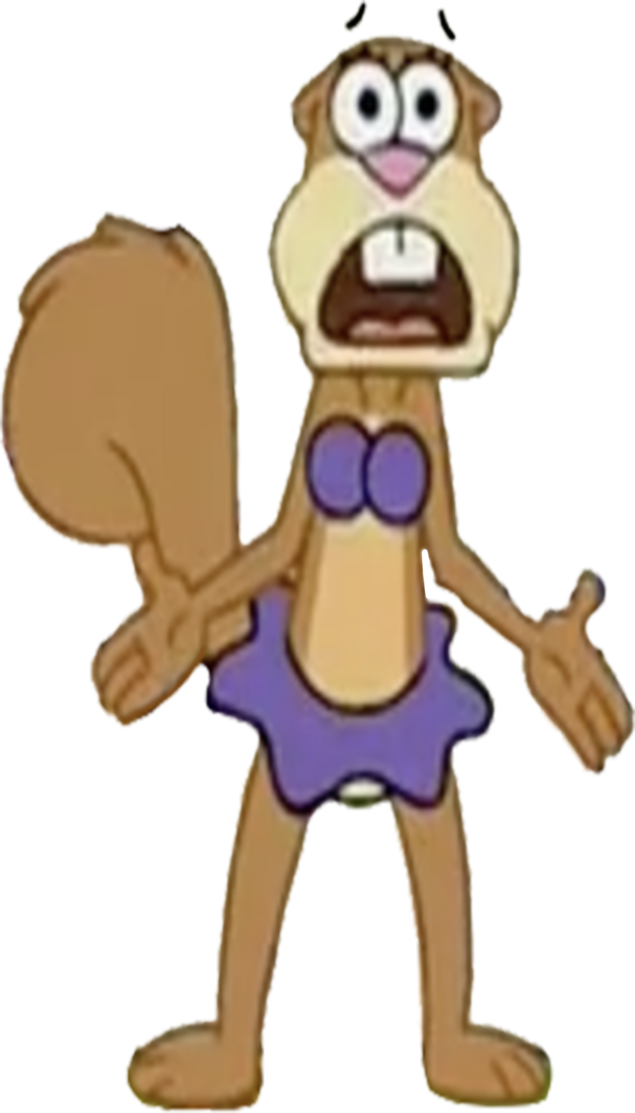 Sandy Cheeks Overthinking Sandy Cheeks panicking vector by MrToonlover83 on DeviantArt