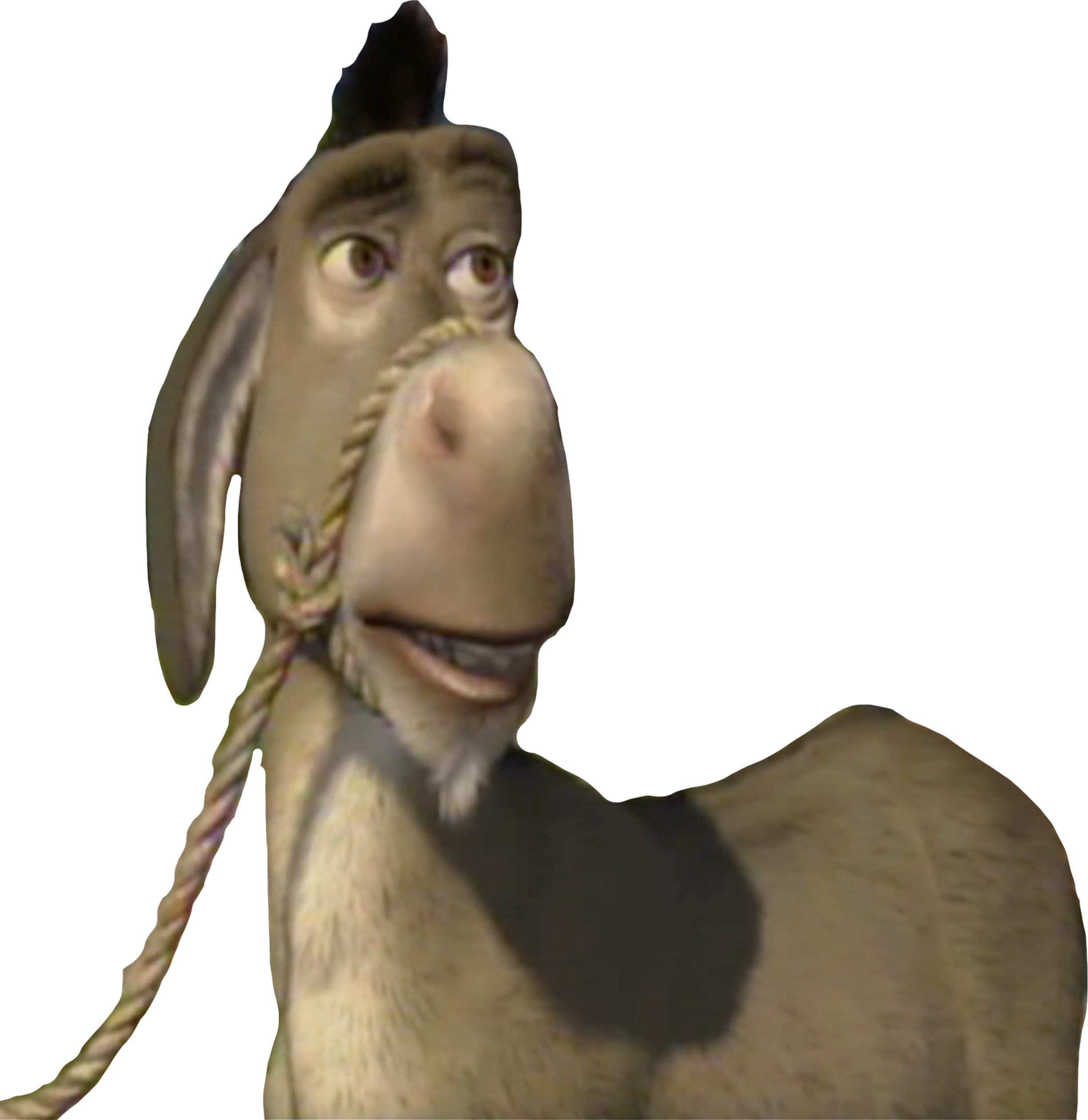 Sherak Donkey (Shrek) vector by HomerSimpson1983 on DeviantArt