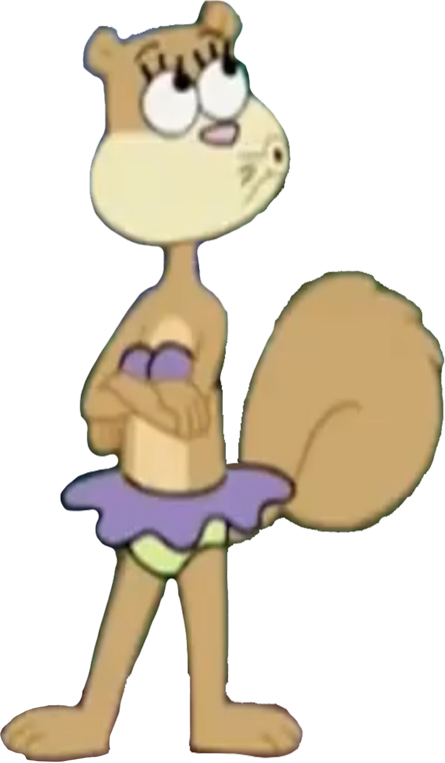Sandy Vector Sandy Cheeks vector 15 by MrToonlover83 on DeviantArt