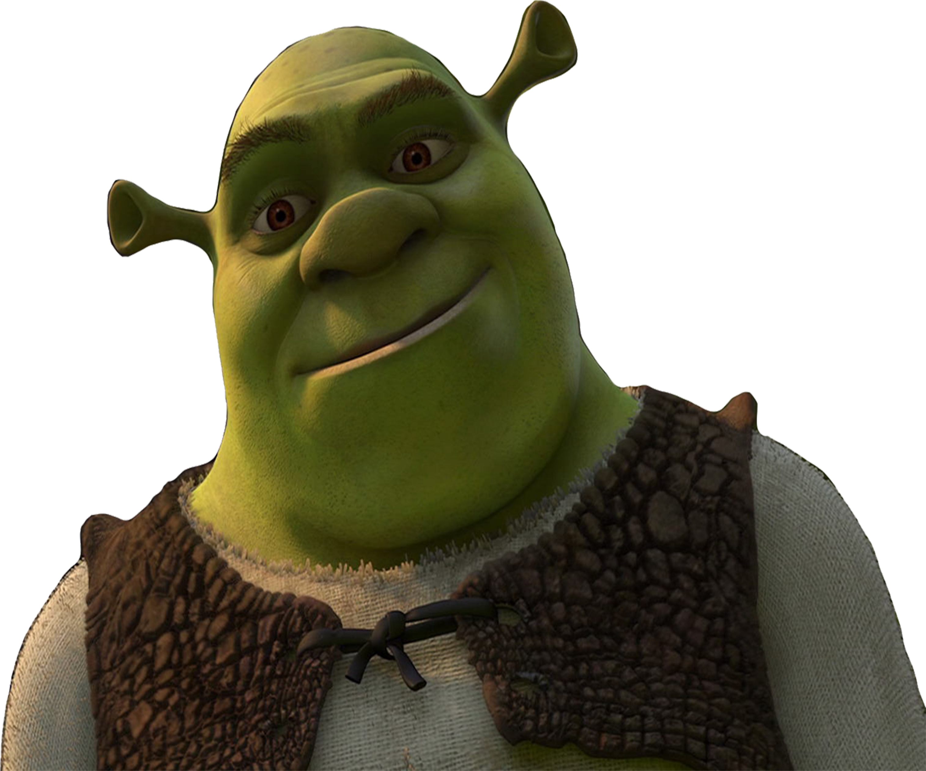 Shrek's kind smile vector by HomerSimpson1983 on DeviantArt