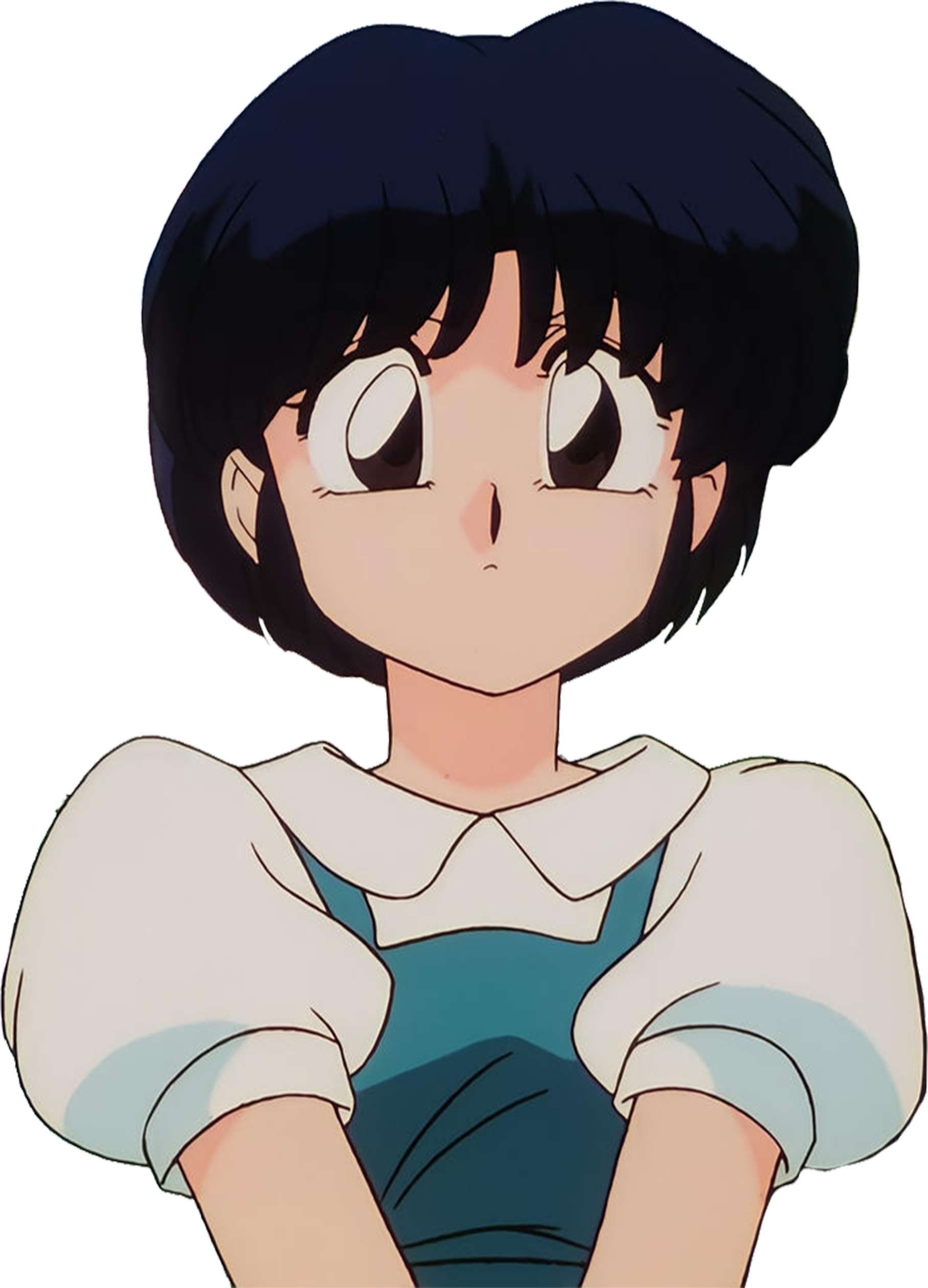 Akane Riot Akane Tendo vector 3 by MrToonlover83 on DeviantArt