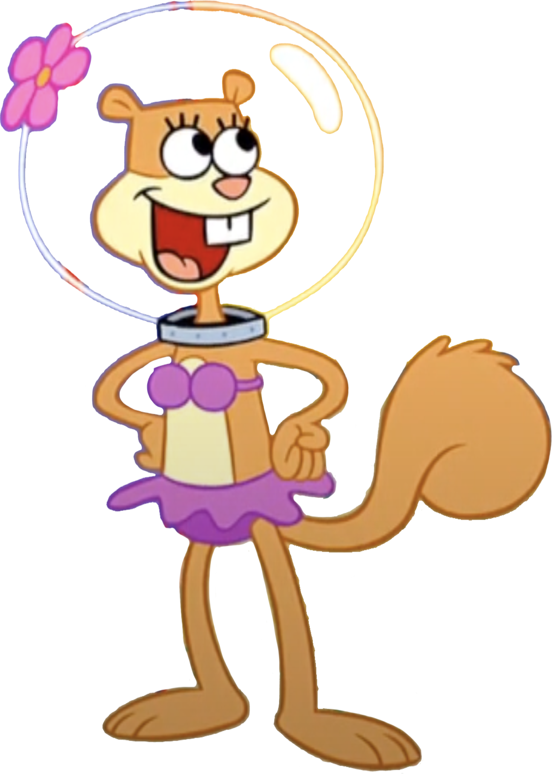 Sandy Cheeks vector 18 by HomerSimpson1983 on DeviantArt