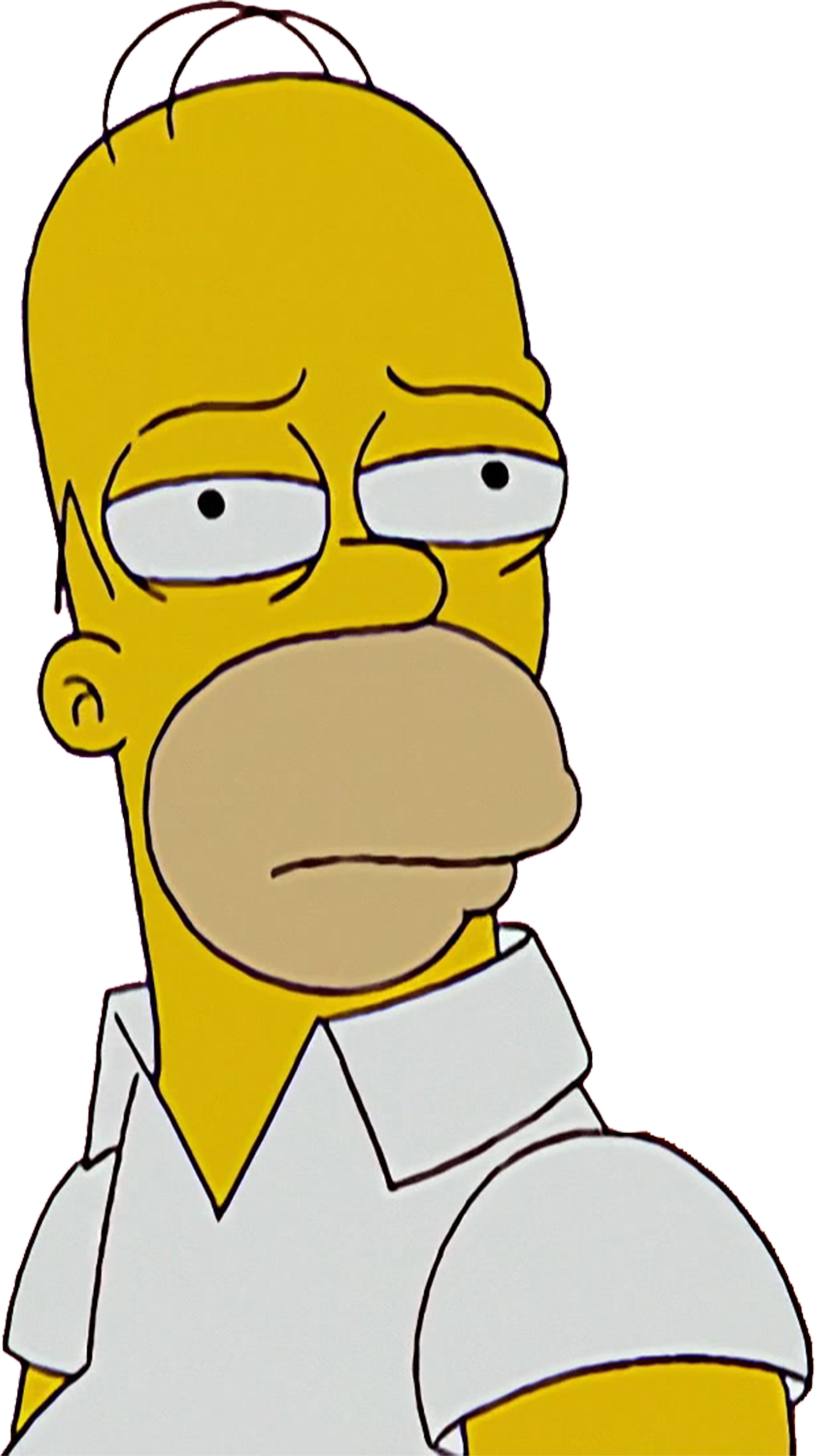 Homer Simpson vector 16 by MrToonlover83 on DeviantArt