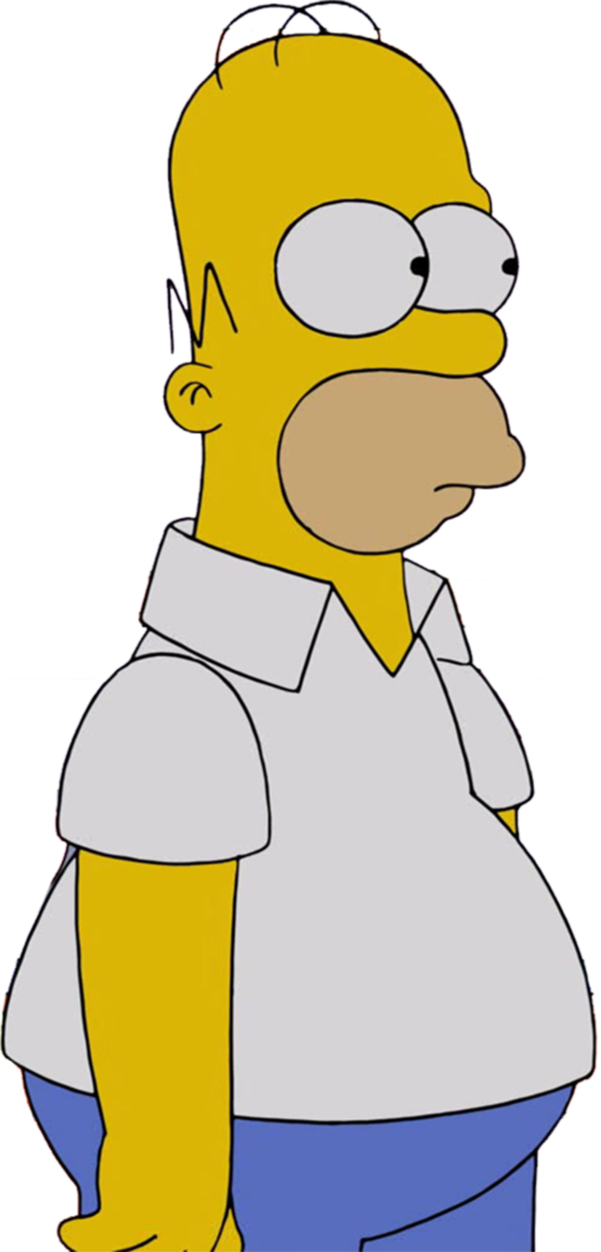 Homer Simpson vector 17 by MrToonlover83 on DeviantArt