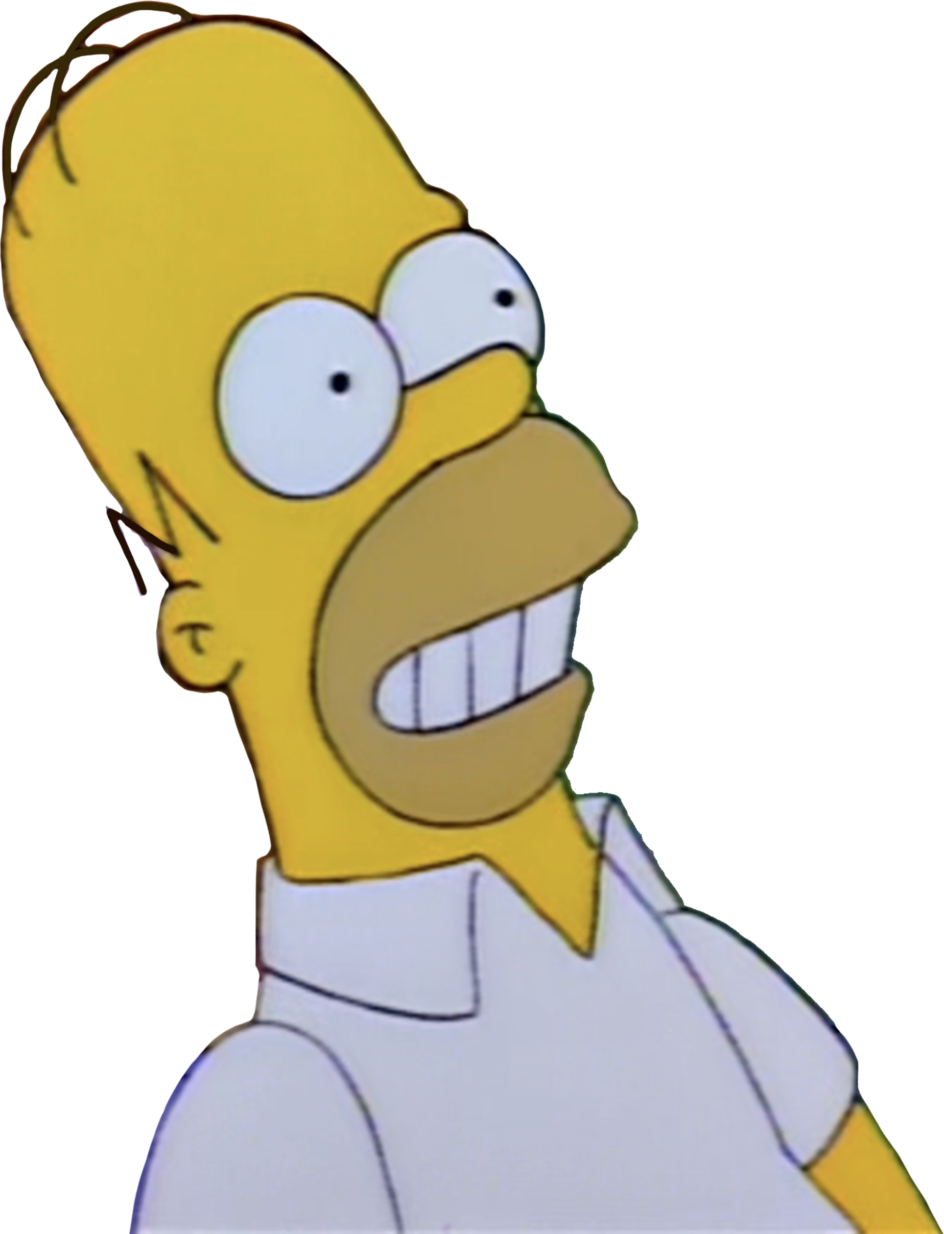 Homer Simpson vector 21 by MrToonlover83 on DeviantArt