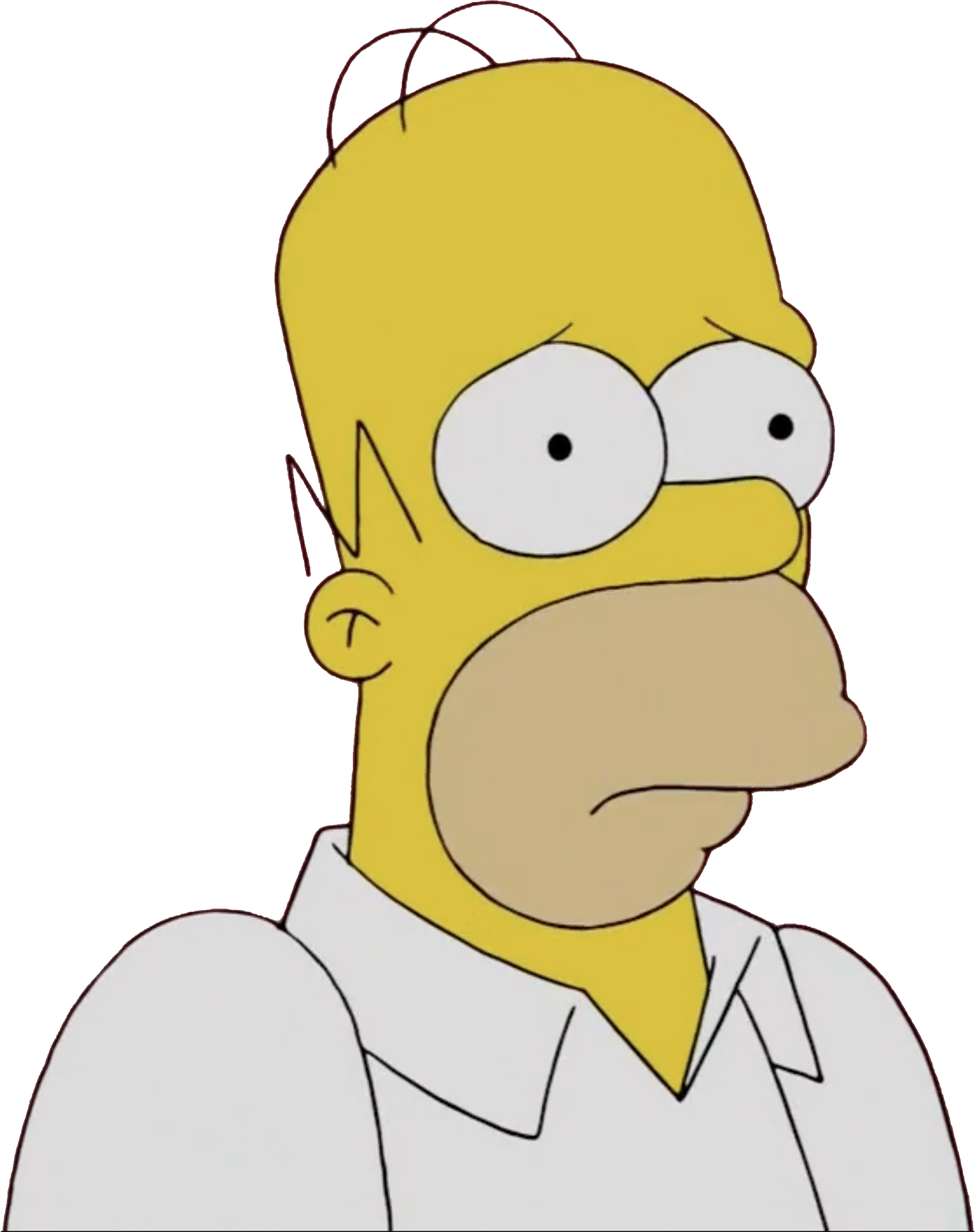 Homer Simpson vector 23 by MrToonlover83 on DeviantArt