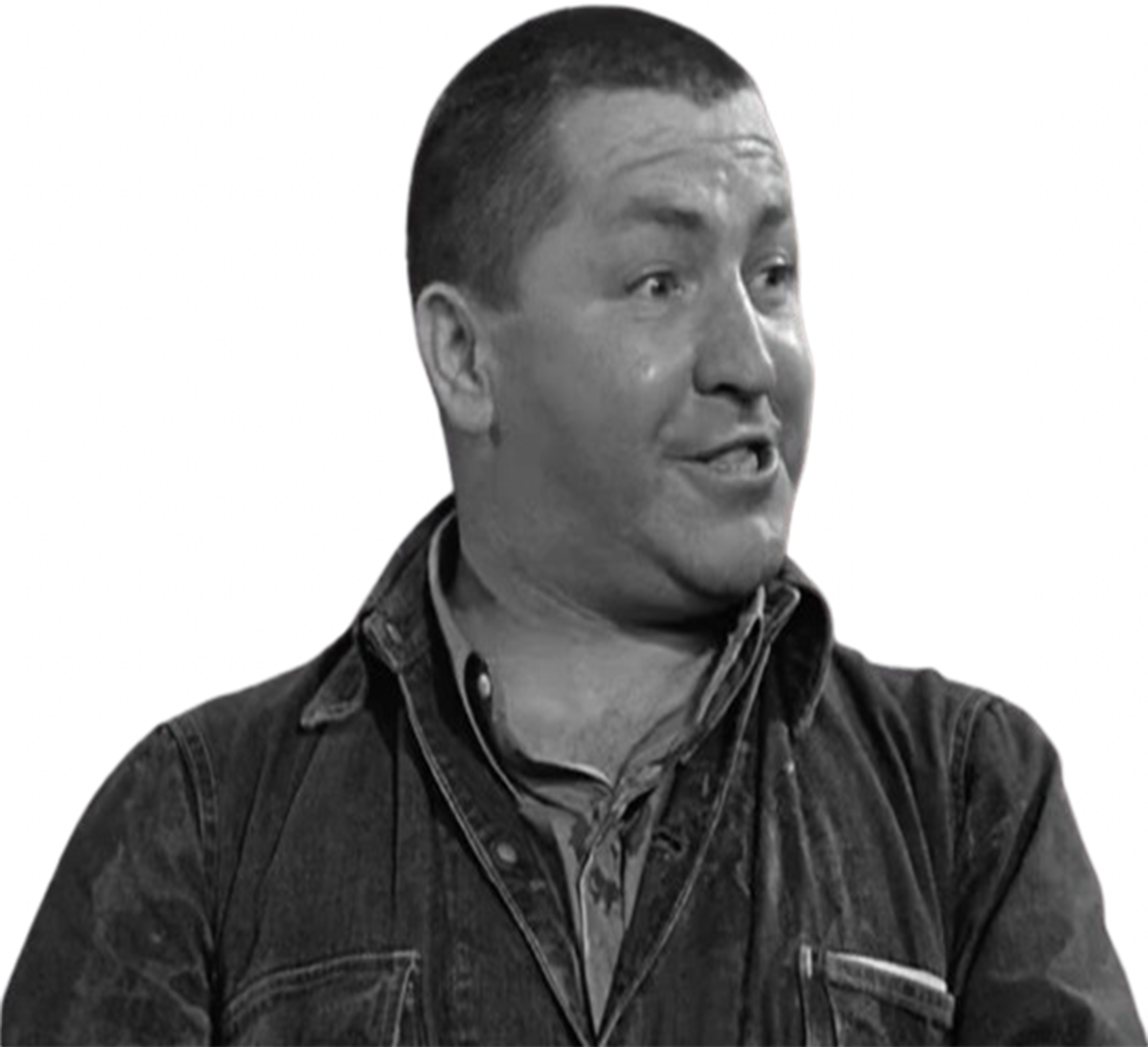 Curly Howard vector 9 by MrToonlover83 on DeviantArt