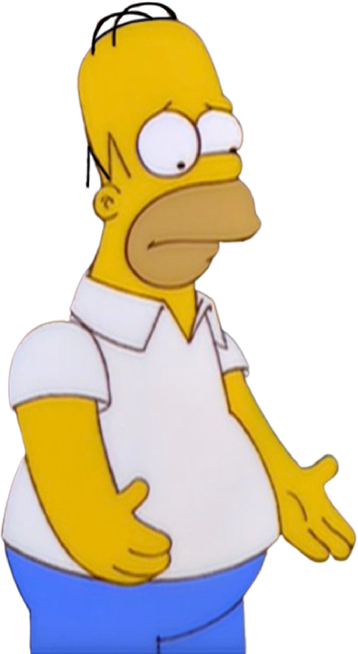 Homer Simpson vector 25 by MrToonlover83 on DeviantArt