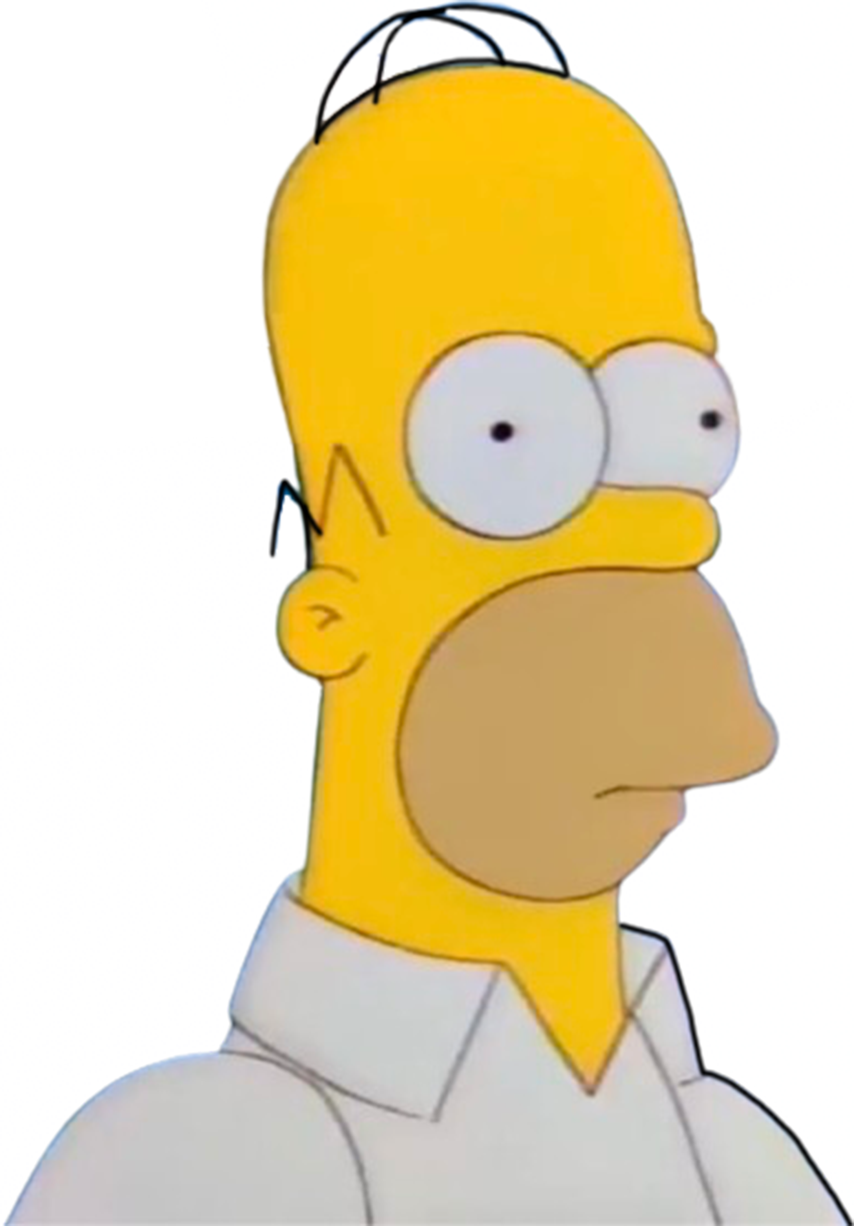 Homer Simpson vector 26 by MrToonlover83 on DeviantArt
